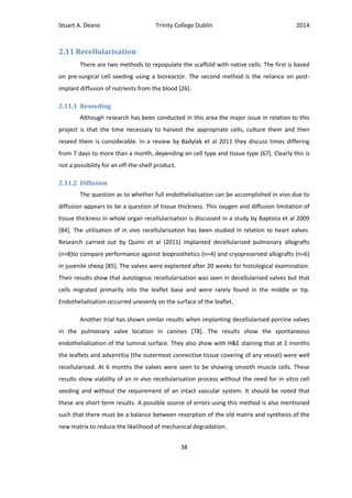 Stuart A. Deane Trinity College Dublin 2014
38
2.11 Recellularisation
There are two methods to repopulate the scaffold with native cells. The first is based
on pre-surgical cell seeding using a bioreactor. The second method is the reliance on post-
implant diffusion of nutrients from the blood [26].
2.11.1 Reseeding
Although research has been conducted in this area the major issue in relation to this
project is that the time necessary to harvest the appropriate cells, culture them and then
reseed them is considerable. In a review by Badylak et al 2011 they discuss times differing
from 7 days to more than a month, depending on cell type and tissue type [67]. Clearly this is
not a possibility for an off-the-shelf product.
2.11.2 Diffusion
The question as to whether full endothelialisation can be accomplished in vivo due to
diffusion appears to be a question of tissue thickness. This oxygen and diffusion limitation of
tissue thickness in whole organ recellularisation is discussed in a study by Baptista et al 2009
[84]. The utilisation of in vivo recellularisation has been studied in relation to heart valves.
Research carried out by Quinn et al (2011) implanted decellularised pulmonary allografts
(n=8)to compare performance against bioprosthetics (n=4) and cryopreserved allografts (n=6)
in juvenile sheep [85]. The valves were explanted after 20 weeks for histological examination.
Their results show that autologous recellularisation was seen in decellularised valves but that
cells migrated primarily into the leaflet base and were rarely found in the middle or tip.
Endothelialisation occurred unevenly on the surface of the leaflet.
Another trial has shown similar results when implanting decellularised porcine valves
in the pulmonary valve location in canines [78]. The results show the spontaneous
endothelialisation of the luminal surface. They also show with H&E staining that at 2 months
the leaflets and adventitia (the outermost connective tissue covering of any vessel) were well
recellularised. At 6 months the valves were seen to be showing smooth muscle cells. These
results show viability of an in vivo recellularisation process without the need for in vitro cell
seeding and without the requirement of an intact vascular system. It should be noted that
these are short term results. A possible source of errors using this method is also mentioned
such that there must be a balance between resorption of the old matrix and synthesis of the
new matrix to reduce the likelihood of mechanical degradation.
 