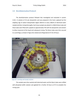 Stuart A. Deane Trinity College Dublin 2014
45
3.4 Decellularisation Protocol
The decellularisation protocol followed that investigated and evaluated in section
2.10.1. A solution of 1% w/v deoxycholic acid was prepared in the fume cupboard by first
weighing 1(g) of sodium deoxycholate (Sigma Aldrich) to every 100(ml) of deionised water
needed and then mixing thoroughly. Each tissue sample was placed in a 50(ml) falcon tube and
these tubes were filled with a pipette to approximately 75% with the deoxycholic acid solution
to allow movement of the liquid and subsequent mixing. The falcon tubes were then secured
to a centrifuge, as shown in Figure 28, rotated and refrigerated at 4˚C for 24 hours.
The samples were then washed with deionised water and the falcon tubes were refilled
with phosphate buffer solution and agitated for a further 24 hours at 4˚C to complete the
rinsing cycle.
Figure 28 - Centrifuge with Samples attached
 