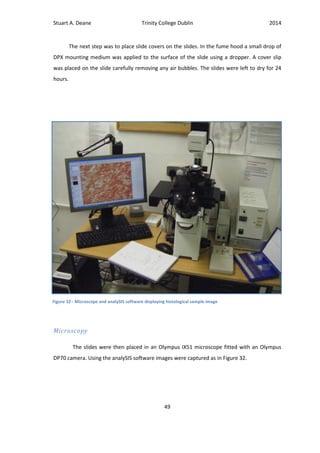 Stuart A. Deane Trinity College Dublin 2014
49
The next step was to place slide covers on the slides. In the fume hood a small drop of
DPX mounting medium was applied to the surface of the slide using a dropper. A cover slip
was placed on the slide carefully removing any air bubbles. The slides were left to dry for 24
hours.
Microscopy
The slides were then placed in an Olympus IX51 microscope fitted with an Olympus
DP70 camera. Using the analySIS software images were captured as in Figure 32.
Figure 32 - Microscope and analySIS software displaying histological sample image
 