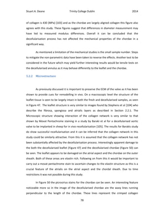 Stuart A. Deane Trinity College Dublin 2014
78
of collagen is 430 (MPa) [103] and as the chordae are largely aligned collagen this figure also
agrees with this study. These figures suggest that differences in diameter measurement may
have led to measured modulus differences. Overall it can be concluded that the
decellularisation process has not affected the mechanical properties of the chordae in a
significant way.
As mentioned a limitation of the mechanical studies is the small sample number. Steps
to mitigate the non-parametric data have been taken to reverse the effects. Another test to be
considered in the future which may yield further interesting results would be tensile tests on
the decellularised annulus as it may behave differently to the leaflet and the chordae.
5.2.2 Microstructure
As previously discussed it is important to preserve the ECM of the valve as it has been
shown to provide cues for remodelling in vivo. On a macroscopic level the structure of the
leaflet tissue is seen to be largely intact in both the fresh and decellularised samples, as seen
in Figure 47. The leaflet structure is very similar to images found by Stephens et al [104] who
describe the fibrosa, spongiosa and atrialis layers as described in Section 2.2.1. The
Microscopic structure showing interaction of the collagen network is very similar to that
shown by Movat Pentachrome staining in a study by Baraki et al for a decellularised aortic
valve to be implanted in sheep for in vivo recellularisation [105]. The results for Barakis study
do show successful recellularisation and it can be inferred that the collagen network in this
study could be similarly attractive. From this it is assumed that the collagen network has not
been substantially affected by the decellularisation process. Interestingly apparent damage to
the both the decellularised leaflet (Figure 47) and the decellularised chordae (Figure 50) can
be seen. The leaflet appears to be damaged on the atrial aspect and the chordae on the outer
sheath. Both of these areas are elastin rich. Following on from this it would be important to
carry out a movat pentachrome stain to ascertain changes to the elastin structure as this is a
crucial feature of the atrialis on the atrial aspect and the chordal sheath. Due to time
restrictions it was not possible during this study.
In Figure 50 the picrosirius stains for the chordae can be seen. An interesting feature
noticeable more so in the image of the decellularised chordae are the wavy lines running
perpendicular to the length of the chordae. These lines represent the crimped collagen
 