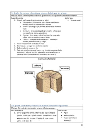 29
5o Grado, Estructura y función de plantas: Fabrica de los arboles
Motivo: Hacer una maqueta del trunco que incluye las capas con funciones diferentes.
Procedimiento
1. Discutir los 5 capas de un trunco de un árbol:
a. El duramen – El centro del árbol. Tiene madera muy
dense y provee el esfuerzo para el árbol
b. Xilema – Lleva agua y nutrientes de los raíces hasta las
hojas
c. Cambium – Una capa delgada produce los células para
nuevos xilema, plome, y cambium
d. Floema – Lleva agua y azúcar hecho en las hojas a los
raíces, tallos, y capullo, frutas, y flores
e. Corteza – Proteja el árbol de heridos causado por
insectos, enfermedades, y fuego.
2. Hacer tiros con cada parte de un árbol
3. Salir la aula a un lugar con bastante espacio
4. Cada estudiante saque un tiro
5. Paso por paso forman un el trunco con el árbol preguntando los
estudiantes sobre el función, luego ellos agrupan y formen el
parte del árbol (duramen en el centro y corteza afuera)
Materiales
 Tiros de papel
Información Adicional
5to grado, Estructura y función de plantas: Cultivando aguacates
Motivo: Aprenderán como nacer una semilla de aguacate
Procedimiento
1. Clava los palillos en los laterales del aguacate (los
palillos sirven para que la semilla no se hunda en el
vaso porque los frenara el borde de este, como
veras en el paso 2)
Materiales
 Agua
 Vaso pequeño
 Hueso (semilla) de
aguacate)
 