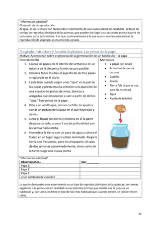 31
“Información adicional”
El secreto de la reproducción:
Al agua, el sol, y el aire han favorecido el nacimiento de una nueva planta de zanahoria. Se trata de
un tipo de reproducción típica de las plantas, que pueden dar lugar a su vez a otra planta a partir de
un trozo o parte de la misma. Y es que, contrariamente a lo que ocurre en el mundo animal, la
reproducción de vegetales es mucho más variada.
5to grado, Estructura y función de plantas: Las yemas de la papa
Motivo: Aprenderán sobre el proceso de la germinación de un tubérculo – la papa
Procedimiento
1. Coloca las papas en el interior del armario o en un
estante de la despensa lo más oscuro posible
2. Observa todos los días el aspecto de las tres papas
y regístralo en el diario
3. Fíjate bien cuando surjan unos “ojos” en la piel de
las papas y presta mucha atención a la aparición de
una especie de granos de arroz, blancos y
alargados que empezaran a salir a partir de dichos
“ojos.” Son yemas de la papa
4. Pide a un adulto que, con un cuchillo, te ayude a
cortar un pedazo de la papa en el que haya ojos y
yemas
5. Llena el frasco con tierra y entierra en el la parte
de papa cortada, a unos 5 cm de profundidad con
las yemas hacia arriba
6. Humedece la tierra con un poco de agua y coloca el
frasco en un lugar seguro y bien iluminado. Riega la
tierra con frecuencia, pero sin empaparla. Al cabo
de dos semanas aproximadamente, veras como de
la tierra surge una nueva planta
Materiales
 2 papas (sin pelar)
 Armario o despensa
oscuros
 Cuchillo
 Frasco
 Tierra *de la que se usa
para las macetas)
 Agua
 Ayudante (adulto)
“Información adicional”
Observaciones… Día: ________
Papa 1:
Papa 2:
Papa 3:
¿Han cambiado de aspecto?
Lo que te demuestra este experimento es un tipo de reproducción típico de las plantas: por yemas
vegetales. Las yemas son en realidad ramas laterales (no hay que olvidar que la papa es un
tubérculo y, por tanto, no tiene el tipo de raíz más habitual) que, cuando crecen, se convierten en
tallos.
 