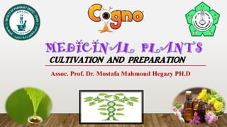 CULTIVATION AND PREPARATION
Assoc. Prof. Dr. Mostafa Mahmoud Hegazy PH.D
 