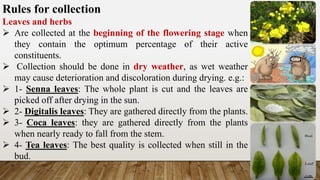 2-_Medicinal_plants_Cultivation_and_Preparation.pdf