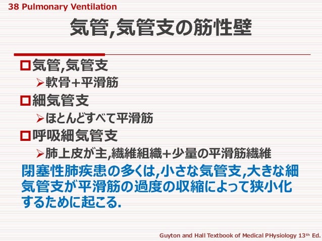 38 Pulmonary Ventilation 38 Pulmonary Ventilation