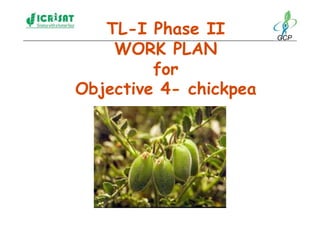 TL-I Phase II        GCP

    WORK PLAN
         for
Objective 4- chickpea
 