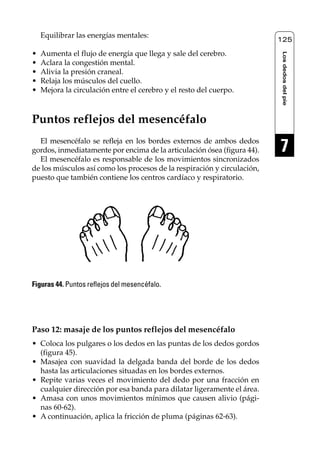 Reflexología podal 091-269        27/12/04 10:46    Página 125




         Equilibrar las energías mentales:
                                                                              125

     •   Aumenta el flujo de energía que llega y sale del cerebro.




                                                                              Los dedos del pie
     •   Aclara la congestión mental.
     •   Alivia la presión craneal.
     •   Relaja los músculos del cuello.
     •   Mejora la circulación entre el cerebro y el resto del cuerpo.



     Puntos reflejos del mesencéfalo
       El mesencéfalo se refleja en los bordes externos de ambos dedos
     gordos, inmediatamente por encima de la articulación ósea (figura 44).   7
       El mesencéfalo es responsable de los movimientos sincronizados
     de los músculos así como los procesos de la respiración y circulación,
     puesto que también contiene los centros cardíaco y respiratorio.




     Figuras 44. Puntos reflejos del mesencéfalo.




     Paso 12: masaje de los puntos reflejos del mesencéfalo
     • Coloca los pulgares o los dedos en las puntas de los dedos gordos
       (figura 45).
     • Masajea con suavidad la delgada banda del borde de los dedos
       hasta las articulaciones situadas en los bordes externos.
     • Repite varias veces el movimiento del dedo por una fracción en
       cualquier dirección por esa banda para dilatar ligeramente el área.
     • Amasa con unos movimientos mínimos que causen alivio (pági-
       nas 60-62).
     • A continuación, aplica la fricción de pluma (páginas 62-63).
 
