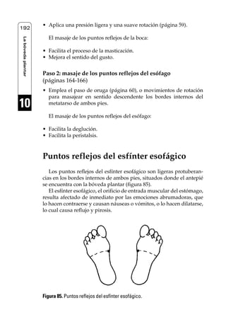 Reflexología podal 091-269                   27/12/04 10:46       Página 192




                         • Aplica una presión ligera y una suave rotación (página 59).
    192

                            El masaje de los puntos reflejos de la boca:
     La bóveda plantar




                         • Facilita el proceso de la masticación.
                         • Mejora el sentido del gusto.


                         Paso 2: masaje de los puntos reflejos del esófago
                         (páginas 164-166)
                         • Emplea el paso de oruga (página 60), o movimientos de rotación
                           para masajear en sentido descendente los bordes internos del
    10                     metatarso de ambos pies.

                            El masaje de los puntos reflejos del esófago:

                         • Facilita la deglución.
                         • Facilita la peristalsis.



                         Puntos reflejos del esfínter esofágico
                            Los puntos reflejos del esfínter esofágico son ligeras protuberan-
                         cias en los bordes internos de ambos pies, situados donde el antepié
                         se encuentra con la bóveda plantar (figura 85).
                            El esfínter esofágico, el orificio de entrada muscular del estómago,
                         resulta afectado de inmediato por las emociones abrumadoras, que
                         lo hacen contraerse y causan náuseas o vómitos, o lo hacen dilatarse,
                         lo cual causa reflujo y pirosis.




                         Figura 85. Puntos reflejos del esfínter esofágico.
 