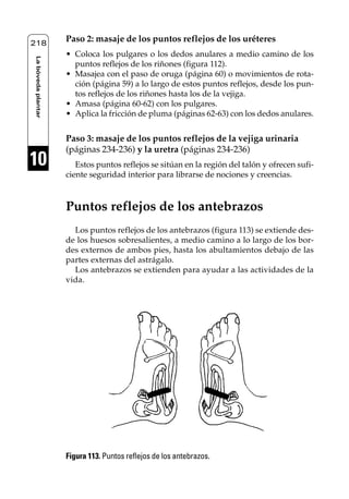 Reflexología podal 091-269                  27/12/04 10:46        Página 218




    218
                         Paso 2: masaje de los puntos reflejos de los uréteres
                         • Coloca los pulgares o los dedos anulares a medio camino de los
     La bóveda plantar




                           puntos reflejos de los riñones (figura 112).
                         • Masajea con el paso de oruga (página 60) o movimientos de rota-
                           ción (página 59) a lo largo de estos puntos reflejos, desde los pun-
                           tos reflejos de los riñones hasta los de la vejiga.
                         • Amasa (página 60-62) con los pulgares.
                         • Aplica la fricción de pluma (páginas 62-63) con los dedos anulares.


                         Paso 3: masaje de los puntos reflejos de la vejiga urinaria
                         (páginas 234-236) y la uretra (páginas 234-236)
    10                      Estos puntos reflejos se sitúan en la región del talón y ofrecen sufi-
                         ciente seguridad interior para librarse de nociones y creencias.



                         Puntos reflejos de los antebrazos
                           Los puntos reflejos de los antebrazos (figura 113) se extiende des-
                         de los huesos sobresalientes, a medio camino a lo largo de los bor-
                         des externos de ambos pies, hasta los abultamientos debajo de las
                         partes externas del astrágalo.
                           Los antebrazos se extienden para ayudar a las actividades de la
                         vida.




                         Figura 113. Puntos reflejos de los antebrazos.
 