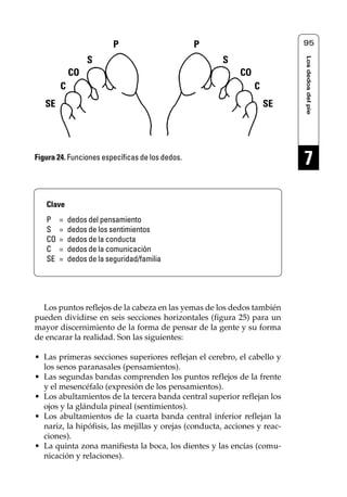 Reflexología podal 091-269         27/12/04 10:45     Página 95




                               P                      P                         95




                                                                                Los dedos del pie
                       S                                     S
                 CO                                               CO
             C                                                         C
        SE                                                                 SE




     Figura 24. Funciones específicas de los dedos.
                                                                                7

        Clave
        P    =   dedos del pensamiento
        S    =   dedos de los sentimientos
        CO   =   dedos de la conducta
        C    =   dedos de la comunicación
        SE   =   dedos de la seguridad/familia




       Los puntos reflejos de la cabeza en las yemas de los dedos también
     pueden dividirse en seis secciones horizontales (figura 25) para un
     mayor discernimiento de la forma de pensar de la gente y su forma
     de encarar la realidad. Son las siguientes:

     • Las primeras secciones superiores reflejan el cerebro, el cabello y
       los senos paranasales (pensamientos).
     • Las segundas bandas comprenden los puntos reflejos de la frente
       y el mesencéfalo (expresión de los pensamientos).
     • Los abultamientos de la tercera banda central superior reflejan los
       ojos y la glándula pineal (sentimientos).
     • Los abultamientos de la cuarta banda central inferior reflejan la
       nariz, la hipófisis, las mejillas y orejas (conducta, acciones y reac-
       ciones).
     • La quinta zona manifiesta la boca, los dientes y las encías (comu-
       nicación y relaciones).
 