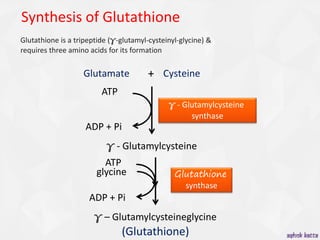 holistix glutathione reviews Glutathione