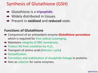 Metabolism of Glycine. 