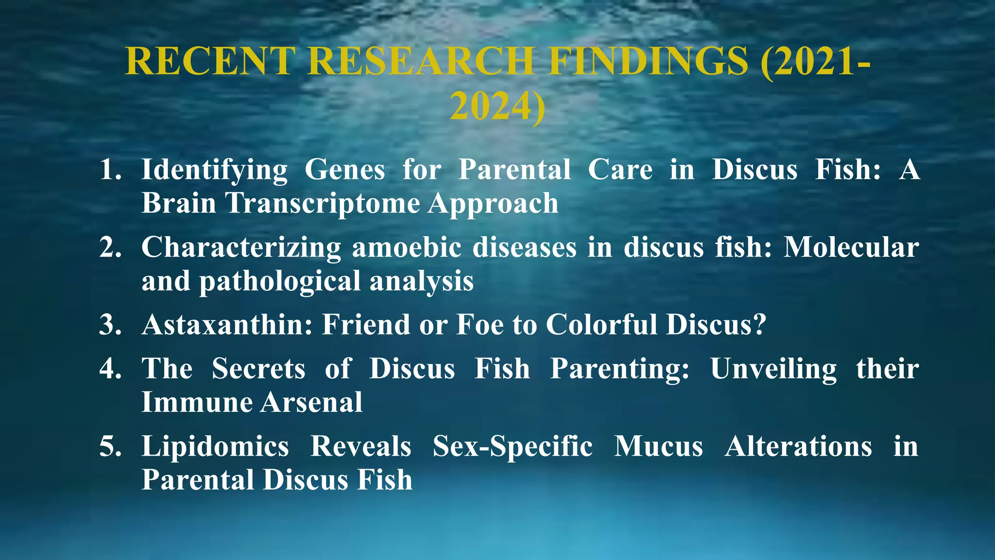DISCUS FISH Introduction Morphology and its behaviour characteristics ...