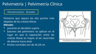 39.-PELVIMETRÍA CLÍNICA (Diaz Mariscal Wilfrido Aldahir).pptx