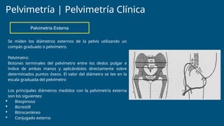 39.-PELVIMETRÍA CLÍNICA (Diaz Mariscal Wilfrido Aldahir).pptx