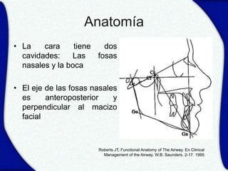 Anatomía
• La    cara     tiene   dos
  cavidades:    Las    fosas
  nasales y la boca

• El eje de las fosas nasales
  es     anteroposterior    y
  perpendicular al macizo
  facial



                       Roberts JT, Functional Anatomy of The Airway. En Clinical
                         Management of the Airway. W.B. Saunders. 2-17. 1995
 