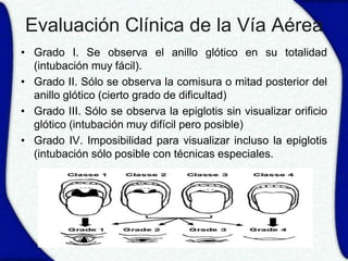 Evaluación Clínica de la Vía Aérea
• Grado I. Se observa el anillo glótico en su totalidad
  (intubación muy fácil).
• Grado II. Sólo se observa la comisura o mitad posterior del
  anillo glótico (cierto grado de dificultad)
• Grado III. Sólo se observa la epiglotis sin visualizar orificio
  glótico (intubación muy difícil pero posible)
• Grado IV. Imposibilidad para visualizar incluso la epiglotis
  (intubación sólo posible con técnicas especiales.
 