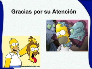 Gracias por su Atención
 