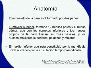 Anatomía
• El esqueleto de la cara está formado por dos partes

• El maxilar superior, formado 12 huesos pares y el hueso
  vómer, que con los cornetes inferiores y los huesos
  propios de la nariz limitan las fosas nasales, y los
  huesos maxilares superiores, palatinos y malares

• El maxilar inferior que está constituido por la mandíbula
  unida al cráneo por la articulación temporomandibular


                           Roberts JT, Functional Anatomy of The Airway. En Clinical
                             Management of the Airway. W.B. Saunders. 2-17. 1995
 