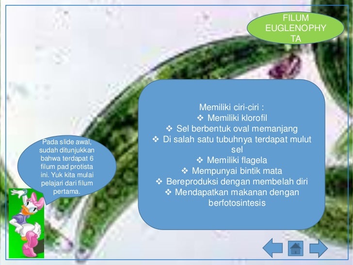 39.anisa lina anggraeni