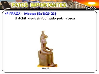 FATOS  IMPORTANTESÊXODO4ª PRAGA – Moscas (Ex 8:20-23)	Uatchit: deus simbolizado pela moscaUatchit