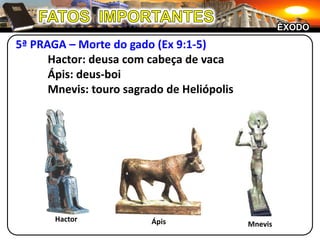 FATOS  IMPORTANTESÊXODO5ª PRAGA – Morte do gado (Ex 9:1-5)	Hactor: deusa com cabeça de vaca	Ápis: deus-boi	Mnevis: touro sagrado de HeliópolisHactorÁpisMnevis