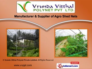 Manufacturer & Supplier of Agro Shed Nets
 