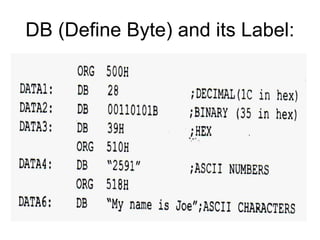 DB (Define Byte) and its Label:
 