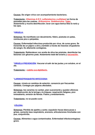 Causas: De origen vírico con acompañamiento bacteriano.

Tratamiento: -Vitaminas A D C, sulfametacina y sulfatiazol en forma de
pomadas para las costras. -EritromicinayOxitetraciclina. Tylan.
Aislamiento y mucha desinfección; lavar con agua bórica tibia la nariz y
los ojos.


*VIRUELA:

Síntomas: Se manifiesta con decaimiento, fiebre, pústulas en patas,
comisuras pico o párpados.

Causas: Enfermedad infecciosa producida por virus, de curso grave. Se
transmite de un pájaro a otro y también a través de insectos chupadores
de sangre. Es altamente contagiosa.

Tratamiento: Reblandecer con aceite de oliva las pústulas, desinfectar las
lesiones con glicerina yoda. Aislamiento total del aviario y vacunación.



*VIRUELA PREVENCIÓN: Vacunar al salir de las jaulas y en octubre, en el
ala.

Tratamiento: - nobilis ovo-diphtherin.



*LARINGOTRAQUEITIS INFECCIOSA:

Causas: virosis en cambios de estación, cansancio por frecuentes
cambios. Contagio por pájaros afectados.

Síntomas: los canarios no cantan, pían suavemente y quedan afónicos
por obstrucción de la laringe y la tráquea; respiración fatigosa, pico
entreabierto, emisión de flemas. Fiebre y embolamiento.

Tratamiento: no se puede curar.


*CÓLERA:

Síntomas: Pérdida de apetito y canto; expulsión heces blancuzcas o
grises, aumento tasa respiratoria, anorexia, articulaciones hinchadas con
pus, conjuntivitis.

Causas: Alimentos o agua contaminados. Enfermedad infectocontagiosa
grave.
 