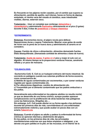 Es frecuente en los pájaros recién cazados, por el cambio que supone su
alimentación, perdida de apetito, sed intensa, heces en forma de diarrea,
embolado, el vientre varia del rosado al cianótico, asas intestinales
visibles, diarrea, esternón seco.

Tratamiento: - Usar un complejo que contenga -tetraciclina y
cloramfenicol y administrarle framicetina directamente en el pico (3 gotas)
durante 5 días, 6 días de probioticos y choque vitamínicoy 2 o 3 días más
del tratamiento.

*ESTREÑIMIENTO:

Síntomas: Excrementos duros, el pájaro recula para defecar.
Deposiciones duras y negras Tratamiento: Mezclar unas gotas de aceite
de ricino con la yema de un huevo duro y administrarlo al canario en el
comedero.

Causas: Cambio de clima o alimentación, alimentos demasiado fuertes.
Dieta desequilibrada. (Demasiada cantidad de alimentos a base de huevo).

Tratamiento: Aceite de resino, 2 gotas en el pico y mojar el culo con un
algodón. Al mismo tiempo se le proporciona verduras frescas, zanahoria
rallada y un poco de manzana.


*COLIBACILOSIS:

(Escherichia Coli): E. Coli es un huésped ordinario del tracto intestinal. Se
convierte en patógeno cuando sus colonias proliferan de forma excesiva,
como consecuencia de:
a) Bebida de aguas contaminadas por excrementos, o por comer verduras
regadas por aguas contaminadas etc.
b) Por alteraciones digestivas; cambio de alimentación etc.
c) Transmitido por el alimento contaminado que los padres embuchan a
los pollos.

Generalmente esta enfermedad en los pájaros adultos no resulta mortal,
ya que se desarrolla de una forma crónica, aunque pueden aparecer
complicaciones con la proliferación de otras bacterias más patógenas
como las Salmoneras, Shigellas etc.…
Sin embargo, la E. Coli puede afectar en su forma aguda a los pichones
durante los primeros días de vida, convirtiéndose en una enfermedad
extremadamente violenta y que puede acabar en pocos días con un
aviario.Tabernil cría

Síntomas: Cuando el pájaro es adulto y padece la enfermedad de forma
crónica se aprecian diarreas y abatimiento del pájaro.
En los pollos, en los primeros días de vida, las principales
manifestaciones externas son que éstos empiezan a adelgazar, y se
denota una gran palidez en la piel, en las mucosas, en el interior de la
 
