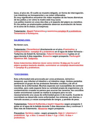 boca, el pico etc. El cuello se muestra delgado, en forma de interrogación.
Los intestinos se transparentan y se notan inflamados.
Es muy significativo encontrar los nidos mojados de las heces diarreicas
de los pollos y ver cómo la madre está muy sucia.
Los pollos mueren en unos dos días y el aspecto del pájaro es cianótico.
En los pollos ya emplumados podemos observar acumulación de heces
en la zona de la cloaca. (Linospinus)

Tratamiento: -Baytril,Tetraciclina y neomicina,complejo B y probioticos.
Terramicina ó flumequina.


SALMONELOSIS:

No tienen cura.

Tratamiento: Cloramfenicol directamente en el pico.-Framicetina y
sulfaquinoxalina, complejo B y probioticos en el agua de beber farmacia -
Tediprima de Estedi SL farmacias -Tabernil Gentamicina 3 gotas en el
agua durante 4 días seguidos. Bioserine según prospecto. Panfungól+
Optalmox 500. Tediprima.

Estos tratamientos deberían durar como mínimo 15 días por lo cual el
pájaro quedara bastante abatido, suministrar un complejo deaminoácidos
+ complejo B y probioticos.


*COCCIDIOSIS:

Esta enfermedad esta provocada por unos protozoos, (eimeria e
isospora), que infectan el intestino u el intestino ciego. Ambos parásitos
pertenecen al grupo de los protozoos llamados cocidios y de ahí el
nombre de la enfermedad. Muchas especies son susceptibles de contraer
coccidias, pero cada especie tiene su variedad propia de organismos y la
contaminación cruzada no parece que ocurran los canarios, los coccidios
suelen encontrarse cuando se realiza la autopsia pero no son
necesariamente una causa de enfermedad grave ni de muerte. Cuando la
coccidiasis se desarrolla como enfermedad, los síntomas son diarrea, a
menudo acuosa y a veces acompañada de sangre, y perdida de peso.

Tratamientos: Tabernil Sulfamida,o baytril +Appertex según prospecto 3
gotas en el agua de la bebida durante 3 días descansar dos y continuar 3
días más de tratamiento. -Bioserine según prospecto.

Preventivo: Seridone como - según prospecto. Esb 3 + vitamina k +
probióticos. 1gr. x litro / 2 meses /5 días + 3 gr. x 5ml. / 8 días +
probioticos.
 