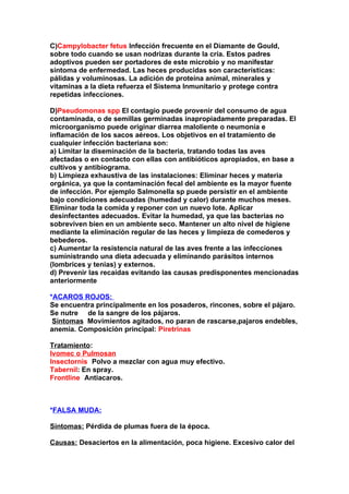 C)Campylobacter fetus.Infección frecuente en el Diamante de Gould,
sobre todo cuando se usan nodrizas durante la cría. Estos padres
adoptivos pueden ser portadores de este microbio y no manifestar
síntoma de enfermedad. Las heces producidas son características:
pálidas y voluminosas. La adición de proteína animal, minerales y
vitaminas a la dieta refuerza el Sistema Inmunitario y protege contra
repetidas infecciones.

D)Pseudomonas spp.El contagio puede provenir del consumo de agua
contaminada, o de semillas germinadas inapropiadamente preparadas. El
microorganismo puede originar diarrea maloliente o neumonía e
inflamación de los sacos aéreos. Los objetivos en el tratamiento de
cualquier infección bacteriana son:
a) Limitar la diseminación de la bacteria, tratando todas las aves
afectadas o en contacto con ellas con antibióticos apropiados, en base a
cultivos y antibiograma.
b) Limpieza exhaustiva de las instalaciones: Eliminar heces y materia
orgánica, ya que la contaminación fecal del ambiente es la mayor fuente
de infección. Por ejemplo Salmonella sp puede persistir en el ambiente
bajo condiciones adecuadas (humedad y calor) durante muchos meses.
Eliminar toda la comida y reponer con un nuevo lote. Aplicar
desinfectantes adecuados. Evitar la humedad, ya que las bacterias no
sobreviven bien en un ambiente seco. Mantener un alto nivel de higiene
mediante la eliminación regular de las heces y limpieza de comederos y
bebederos.
c) Aumentar la resistencia natural de las aves frente a las infecciones
suministrando una dieta adecuada y eliminando parásitos internos
(lombrices y tenias) y externos.
d) Prevenir las recaídas evitando las causas predisponentes mencionadas
anteriormente

*ACAROS ROJOS:
Se encuentra principalmente en los posaderos, rincones, sobre el pájaro.
Se nutre de la sangre de los pájaros.
 Síntomas Movimientos agitados, no paran de rascarse,pajaros endebles,
anemia. Composición principal: Piretrinas

Tratamiento:
Ivomec o Pulmosan
Insectornis: Polvo a mezclar con agua muy efectivo.
Tabernil: En spray.
Frontline: Antiacaros.



*FALSA MUDA:

Síntomas: Pérdida de plumas fuera de la época.

Causas: Desaciertos en la alimentación, poca higiene. Excesivo calor del
 