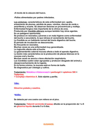 -A través de la cáscara del huevo.

-Pollos alimentados por padres infectados.

Los síntomas: característicos de esta enfermedad son: apatía,
erizamiento de plumas, pérdida de peso, vómitos, diarrea de verde a
amarillenta y muerte. Se observan lesiones en proventrículo y molleja.
Enfermedad fúngica más importante de la clínica de aves.
Producida por Candida albicans aunque también hay otros agentes.
Es un patógeno oportunista.
Se produce en neonatos y jóvenes o en mala higiene como enfermedad
del buche o secundaria, lo que retrasa el vaciamiento del buche.
La Candida es un habitante normal del tracto digestivo del buche.
El periodo de incubación es desconocido.
Es frecuente en neonatos.
Muchas veces es una enfermedad muy generalizada.
La ingluvitis afecta sólo al buche.
La gastroenteritis catarral mucosa afecta a todo el aparato digestivo.
La lesión más característica es la producción de placas blancas en la
mucosa oral y buche.
Muchas veces se asocia o tiene afectación respiratoria.
Las Candidas suelen estar agrupadas y producen desgaste del animal y
desaprovechamiento de la ingesta.
En la forma crónica, la mucosa está en forma de toalla.
Se diagnostica por citología y cultivo.

Tratamiento: Nistatina ó Ketaconazol ó panfungól + optalmox 500 =
Tediprima.
+ Complejo vitamínico A. Solo alpiste y perilla.


TIÑA:

Glicerina yodada y vaselina.


*ROÑA:

Se detecta por una costra con relieve en el pico.

Tratamiento: Tabernil vermicida ó Ivomec diluido en la proporción de 1 a 9
en glicerina líquida durante 5 o 6 días.




                               GUSANOS:
 