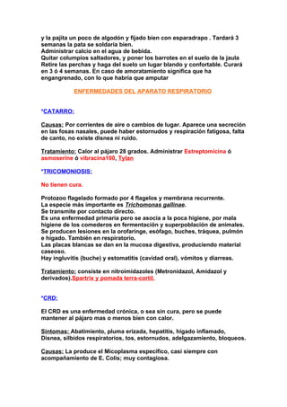 y la pajita un poco de algodón y fijado bien con esparadrapo . Tardará 3
semanas la pata se soldaría bien.
Administrar calcio en el agua de bebida.
Quitar columpios saltadores, y poner los barrotes en el suelo de la jaula
Retire las perchas y haga del suelo un lugar blando y confortable. Curará
en 3 ó 4 semanas. En caso de amoratamiento significa que ha
engangrenado, con lo que habría que amputar

           ENFERMEDADES DEL APARATO RESPIRATORIO


*CATARRO:

Causas: Por corrientes de aire o cambios de lugar. Aparece una secreción
en las fosas nasales, puede haber estornudos y respiración fatigosa, falta
de canto, no existe disnea ni ruido.

Tratamiento: Calor al pájaro 28 grados. Administrar Estreptomicina ó
asmoserine ó vibracina100, Tylanen el agua de la bebida.

*TRICOMONIOSIS:

No tienen cura.

Protozoo flagelado formado por 4 flagelos y membrana recurrente.
La especie más importante es Trichomonas gallinae.
Se transmite por contacto directo.
Es una enfermedad primaria pero se asocia a la poca higiene, por mala
higiene de los comederos en fermentación y superpoblación de animales.
Se producen lesiones en la orofaringe, esófago, buches, tráquea, pulmón
e hígado. También en respiratorio.
Las placas blancas se dan en la mucosa digestiva, produciendo material
caseoso.
Hay ingluvitis (buche) y estomatitis (cavidad oral), vómitos y diarreas.

Tratamiento: consiste en nitroimidazoles (Metronidazol, Amidazol y
derivados).Spartrix y pomada terra-cortil.


*CRD:

El CRD es una enfermedad crónica, o sea sin cura, pero se puede
mantener al pájaro mas o menos bien con calor.

Síntomas: Abatimiento, pluma erizada, hepatitis, hígado inflamado,
Disnea, silbidos respiratorios, tos, estornudos, adelgazamiento, bloqueos.

Causas: La produce el Micoplasma específico, casi siempre con
acompañamiento de E. Colis; muy contagiosa.
 