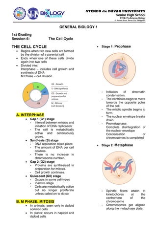ATENEO de DAVAO UNIVERSITY
Senior High School
STEM- Pre-Science- Biology
E. Jacinto Street, Davao City, Philippines
GENERAL BIOLOGY 1
1st Grading
Session 6: The Cell Cycle
THE CELL CYCLE
• Begins when two new cells are formed
by the division of a parental cell
• Ends when one of these cells divide
again into two cells
• Divided into:
Interphase – includes cell growth and
synthesis of DNA
M Phase – cell division
A. INTERPHASE
• Gap 1 (G1) stage
- Interval between mitosis and
initiation of DNA replication
- The cell is metabolically
active and continuously
grows.
• Synthesis (S) stage
- DNA replication takes place
- The amount of DNA per cell
doubles.
- There is no increase in
chromosome number.
• Gap 2 (G2) stage
- Proteins are synthesized in
preparation for mitosis.
- Cell growth continues.
• Quiescent (G0) stage
- Occurs in some cell types
- Inactive stage
- Cells are metabolically active
but no longer proliferate
unless called on to do so
B. M PHASE: MITOSIS
• In animals: seen only in diploid
somatic cells
• In plants: occurs in haploid and
diploid cells
• Stage 1: Prophase
- Initiation of chromatin
condensation.
- The centrioles begin to move
towards the opposite poles
of the cell.
- The mitotic spindle begins to
form.
- The nuclear envelope breaks
down.
- Prometaphase:
Complete disintegration of
the nuclear envelope
Condensation of
chromosomes is completed
• Stage 2: Metaphase
- Spindle fibers attach to
kinetochores at the
centromere of the
chromosome
- Chromosomes get aligned
along the metaphase plate.
 