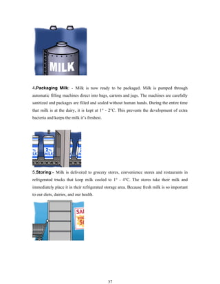 4.Packaging Milk: - Milk is now ready to be packaged. Milk is pumped through
automatic filling machines direct into bags, cartons and jugs. The machines are carefully
sanitized and packages are filled and sealed without human hands. During the entire time
that milk is at the dairy, it is kept at 1° - 2°C. This prevents the development of extra
bacteria and keeps the milk it’s freshest.




5.Storing:- Milk is delivered to grocery stores, convenience stores and restaurants in
refrigerated trucks that keep milk cooled to 1° - 4°C. The stores take their milk and
immediately place it in their refrigerated storage area. Because fresh milk is so important
to our diets, dairies, and our health.




                                             37
 