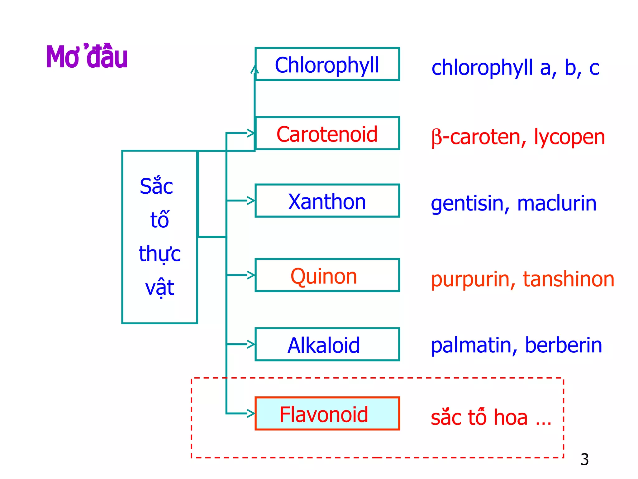 Bài Giảng Flavonoid & Dược Liệu Chứa Flavonoid | PDF