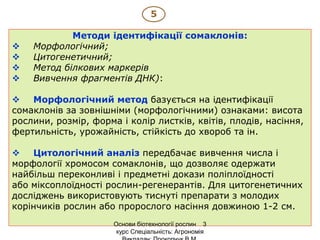 Методи ідентифікації сомаклонів:
 Морфологічний;
 Цитогенетичний;
 Метод білкових маркерів
 Вивчення фрагментів ДНК):
 Морфологічний метод базується на ідентифікації
сомаклонів за зовнішніми (морфологічними) ознаками: висота
рослини, розмір, форма і колір листків, квітів, плодів, насіння,
фертильність, урожайність, стійкість до хвороб та ін.
 Цитологічний аналіз передбачає вивчення числа і
морфології хромосом сомаклонів, що дозволяє одержати
найбільш переконливі і предметні докази поліплоїдності
або міксоплоїдності рослин-регенерантів. Для цитогенетичних
досліджень використовують тиснуті препарати з молодих
корінчиків рослин або пророслого насіння довжиною 1-2 см.
5
Основи біотехнології рослин 3
курс Спеціальність: Агрономія
 