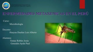Curso:
Microbiología
Docente:
Huayna Dueñas Luis Alberto
Alumnos:
Tomas Robles Jesús
Gonzales Ayala Paul
 