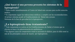 ¿Qué hacer si una persona presenta los síntomas de la
leptospirosis?
* Debe acudir inmediatamente al Centro de Salud más cercano para recibir atención
médica.
* Es importante seguir las indicaciones médicas y cumplir con las recomendaciones.
Al primer síntoma acudir al Establecimiento de Salud más cercano
Síntomas de la fase de gravedad de la leptospirosis .
¿La leptospirosis tiene tratamiento?
* Todo tratamiento se realiza en los Establecimientos de Salud, el mismo que se
efectúa en base a la administración de antibióticos.
* En algunos casos de compromiso renal es necesaria la diálisis, pues la falla renal es
una de las principales causas de muerte por leptospirosis.
 