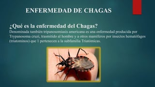ENFERMEDAD DE CHAGAS
¿Qué es la enfermedad del Chagas?
Denominada también tripanosomiasis americana es una enfermedad producida por
Trypanosoma cruzi, trasmitido al hombre y a otros mamíferos por insectos hematófagos
(triatominos) que 1 pertenecen a la subfamilia Triatómicas.
 