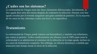 ¿Cuáles son los síntomas?
La enfermedad de Chagas tiene dos fases claramente diferenciadas. Inicialmente, la
fase aguda dura unos dos meses después de contraerse la infección. Durante esta fase
aguda circulan por el torrente sanguíneo una gran cantidad de parásitos. En la mayoría
de los casos no hay síntomas o estos son leves y no específicos.
Tratamiento
La enfermedad de Chagas puede tratarse con benznidazol, y también con nifurtimox,
que matan al parásito. Ambos medicamentos son eficaces casi al 100% para curar la
enfermedad si se administran al comienzo de la infección en la etapa aguda, incluso en
los casos de transmisión congénita. Sin embargo, su eficacia disminuye a medida que
transcurre más tiempo desde el inicio de la infección.
 