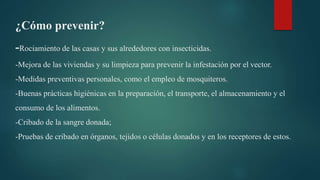 ¿Cómo prevenir?
-Rociamiento de las casas y sus alrededores con insecticidas.
-Mejora de las viviendas y su limpieza para prevenir la infestación por el vector.
-Medidas preventivas personales, como el empleo de mosquiteros.
-Buenas prácticas higiénicas en la preparación, el transporte, el almacenamiento y el
consumo de los alimentos.
-Cribado de la sangre donada;
-Pruebas de cribado en órganos, tejidos o células donados y en los receptores de estos.
 