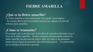 FIEBRE AMARILLA
¿Qué es la fiebre amarilla?
La fiebre amarilla es una enfermedad viral aguda, hemorrágica.
Su nombre deriva por la tonalidad amarilla que adquiere la piel del
enfermo (piel amarilla).
¿Cómo se transmite?
El contagio solo se produce por la picadura de zancudos infectados con el
virus de la fiebre amarilla. Si bien cualquier persona puede contraer la
fiebre amarilla, las personas de mayor edad, los niños y las gestantes,
tienen mayor riesgo de presentar una enfermedad grave. La enfermedad
no se contagia de persona a persona.
 