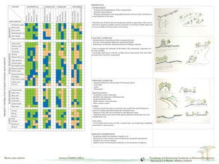final sheets report