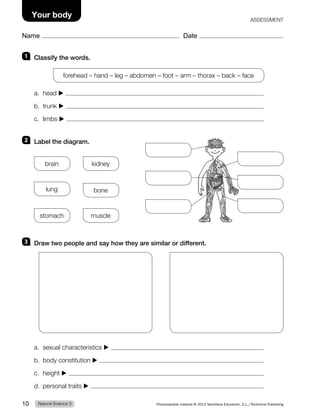 1 Classify the words.
forehead – hand – leg – abdomen – foot – arm – thorax – back – face
a. head ▶
b. trunk ▶
c. limbs ▶
2 Label the diagram.
brain kidney
lung bone
stomach muscle
3 Draw two people and say how they are similar or different.
a. sexual characteristics ▶
b. body constitution ▶
c. height ▶
d. personal traits ▶
Natural Science 3
10 Photocopiable material © 2014 Santillana Educación, S.L./Richmond Publishing
Name Date
Your body ASSESSMENT
 