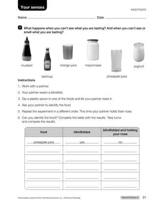 Name Date
Your senses INVESTIGATE
1 What happens when you can’t see what you are tasting? And when you can’t see or
smell what you are tasting?
Instructions
1. Work with a partner.
2. Your partner wears a blindfold.
3. Dip a plastic spoon in one of the foods and let your partner taste it.
4. Ask your partner to identify the food.
5. Repeat the experiment in a different order. This time your partner holds their nose.
6. Can you identify the food? Complete the table with the results. Take turns
and compare the results.
food blindfolded
blindfolded and holding
your nose
mustard orange juice
pineapple juice
ketchup
mayonnaise yoghurt
pineapple juice yes no
Natural Science 3
Photocopiable material © 2014 Santillana Educación, S.L./Richmond Publishing 21
 