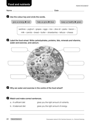 Name Date
Food and nutrients REINFORCEMENT
1 Use the colour key and circle the words.
give us energy ▶ red help us grow ▶ blue keep us healthy ▶ green
sardines – yoghurt – grapes – eggs – rice – olive oil – pasta – bacon –
milk – carrots – bread – butter – strawberries – lettuce – cheese
2 Label the food wheel. Write carbohydrates, proteins, fats, minerals and vitamins,
water and exercise, and calcium.
3 Why are water and exercise in the centre of the food wheel?
4 Match and make correct sentences.
a. A sufficient diet gives you the right amount of nutrients.
b. A balanced diet gives you the right amount of energy.
Natural Science 3
22 Photocopiable material © 2014 Santillana Educación, S.L./Richmond Publishing
 