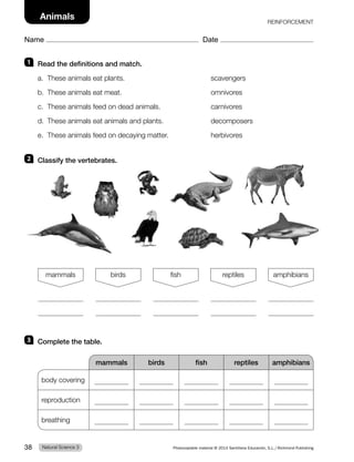 1 Read the definitions and match.
a. These animals eat plants. scavengers
b. These animals eat meat. omnivores
c. These animals feed on dead animals. carnivores
d. These animals eat animals and plants. decomposers
e. These animals feed on decaying matter. herbivores
2 Classify the vertebrates.
3 Complete the table.
mammals birds fish reptiles amphibians
body covering
reproduction
breathing
mammals birds fish reptiles amphibians
Natural Science 3
38 Photocopiable material © 2014 Santillana Educación, S.L./Richmond Publishing
Name Date
Animals REINFORCEMENT
 