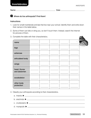 1 Where do live arthropods? Find them!
Instructions
1. Look for small invertebrate animals that live near your school. Identify them and write down
their names in the table below.
2. Some of them can bite or sting you, so don’t touch them. Instead, search the Internet
for pictures of them.
3. Complete the table with their characteristics.
name
legs
antennae
articulated body
wings
head, thorax
and abdomen
exoskeleton
other body
protection
4. Classify your arthropods according to their characteristics.
a. insects ▶
b. arachnids ▶
c. crustaceans ▶
d. myriapods ▶
Natural Science 3
Photocopiable material © 2014 Santillana Educación, S.L./Richmond Publishing 53
Invertebrates
Name Date
INVESTIGATE
 